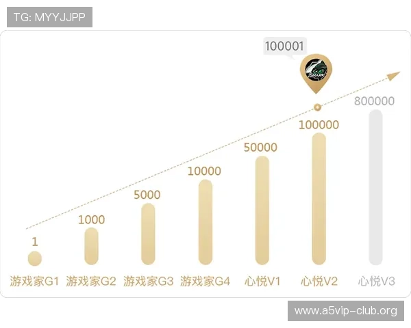 沙龙国际娱乐城：严格的监管体系保障玩家权益实现公平公正的游戏环境